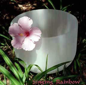 Singing Rainbow Crystal Bowl and Hibiscus